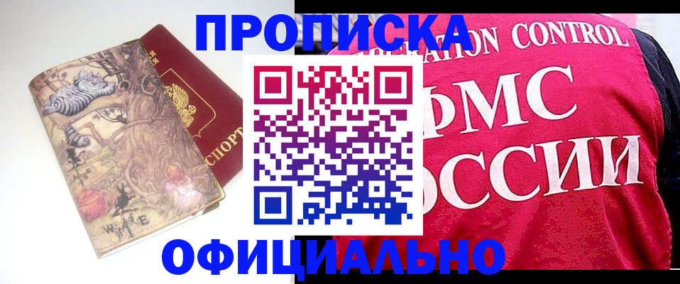 прописка в квартире в Снежногорске